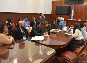 Diputados recibió a organizaciones feministas de Jujuy