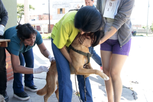 Zoonosis traslada su atenci&oacute;n al Sector B4