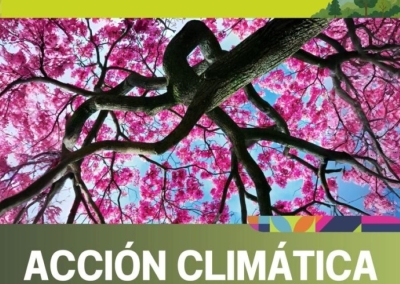 Gu&iacute;a para promover la restauraci&oacute;n de ecosistemas