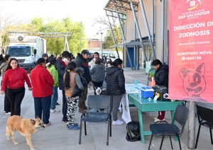 Zoonosis continúa con el quirófano externo