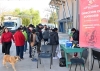 Zoonosis continúa con el quirófano externo