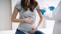 La vacunaci&oacute;n no afecta a la fertilidad ni el embarazo