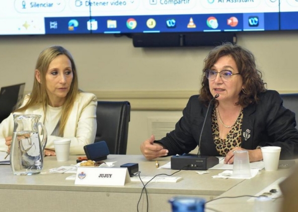 Serrano fue designada vicepresidente del Consejo Federal de Educaci&oacute;n