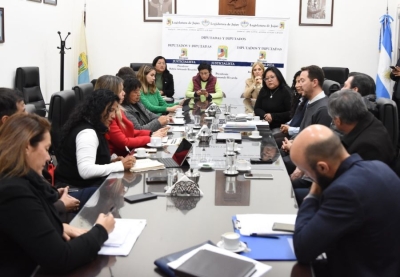 Actividad minera pas&oacute; por diputados