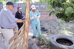 Eliminar criaderos de mosquitos es la medida principal para prevenir el dengue