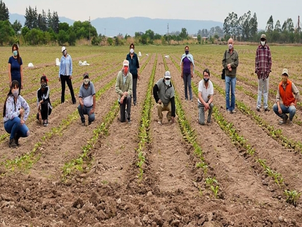 Abono org&aacute;nico para lograr una producci&oacute;n tabacalera sostenible