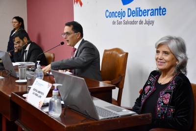 Deliberante. Habilitaciones comerciales web volvi&oacute; a comisi&oacute;n