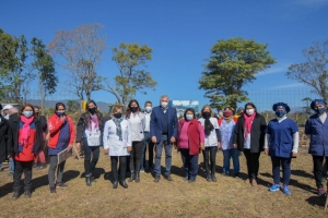 Virtualidad para escuela de Real de los Toros