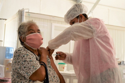 Coronavirus: en las últimas horas 510 adultos mayores accedieron a la vacunación