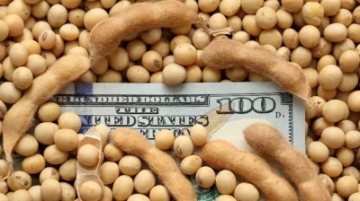 Los precios de la soja ya cayeron 27% en el a&ntilde;o y ahora aparece la amenaza china