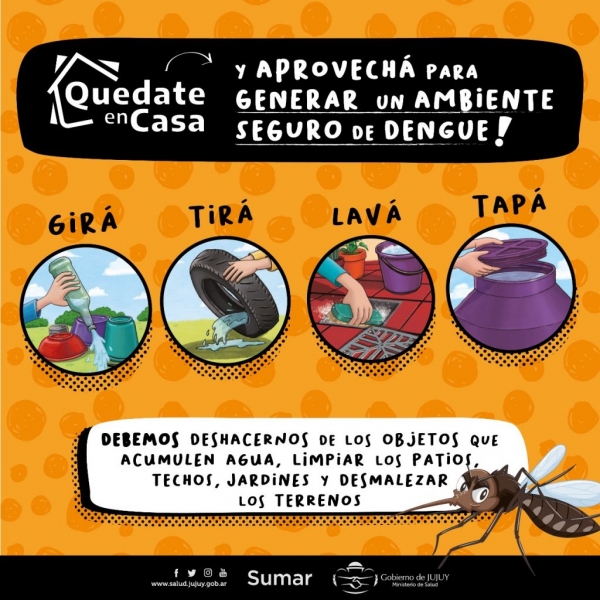 Dengue: Jujuy suma 121 casos