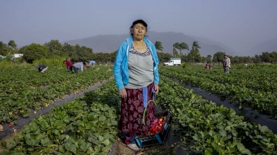 Una de cada cinco pymes del sector primario es liderada por mujeres rurales