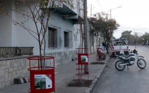 Reforestaci&oacute;n y arbolado de veredas en la ciudad