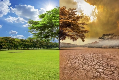 Observatorio Clim&aacute;tico de Jujuy disponible en la web