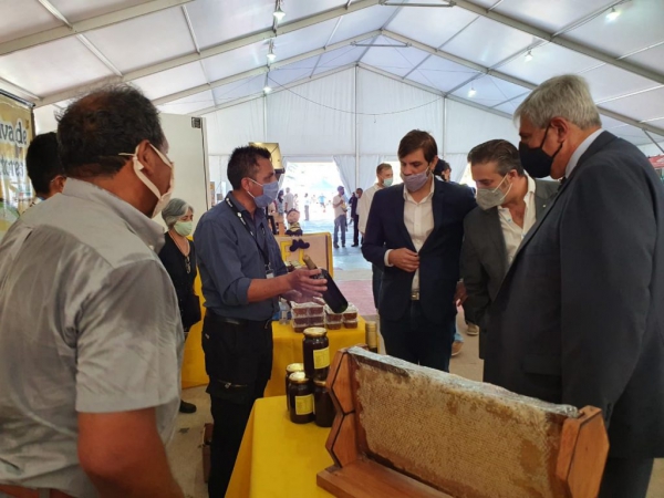 "No hay nada que reemplace el poder mirarnos a la cara"