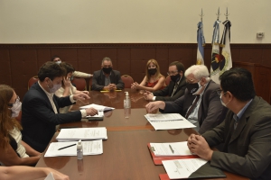 La Comisi&oacute;n de Legislaci&oacute;n General recibi&oacute; al Colegio de Martilleros