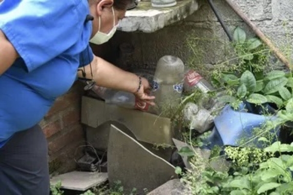 Dengue: los cuidados en verano son claves para evitar la infecci&oacute;n