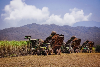 Ledesma finaliz&oacute; con &eacute;xito su zafra 2020