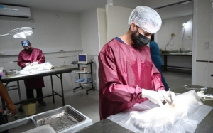 Zoonosis despliega un amplio cronograma de actividades