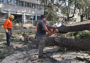 Capital. Espacios Verdes mantiene un operativo intensivo para atender los daños