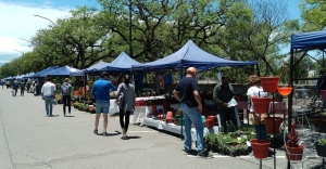 Productores y emprendedores de flores se lucieron en Jujuy Florece