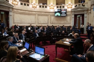 El Gobierno afirm&oacute; ante el Congreso que podr&iacute;a volver a los mercados a mitad del 2025 para emitir deuda &ldquo;a tasa razonable&rdquo;