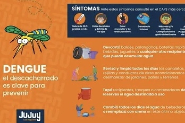 Dengue: con síntomas, la consulta debe ser inmediata