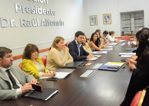 Diputados y la reforma de la Ley de Procedimiento Administrativo
