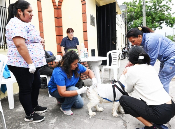 Zoonosis informa el cronograma semanal de atenci&oacute;n