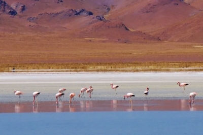 Avances en el Plan de Manejo de Reserva de Bi&oacute;sfera de Pozuelos