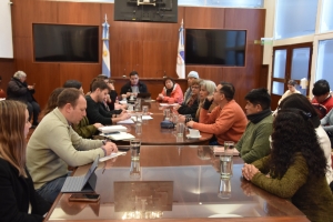 La Comisión de Educación recibió a docentes del CEDEMS y solicitó una investigación integral sobre las irregularidades denunciadas