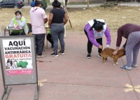 Contin&uacute;a la aplicaci&oacute;n de la vacuna antirr&aacute;bica