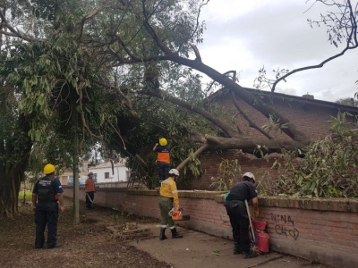 Libertador: Contin&uacute;an tareas de asistencia tras el temporal