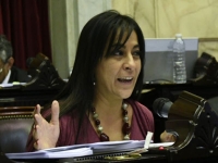 Carolina Moises defendi&oacute; las sesiones on line