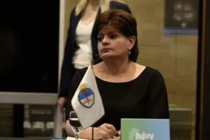 Aportes de Jujuy en el debate sobre la estrategia nacional para el Uso de los Mercados de Carbono