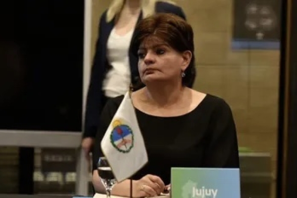 Aportes de Jujuy en el debate sobre la estrategia nacional para el Uso de los Mercados de Carbono