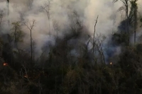 Gobierno mult&oacute; a personas que causaron incendios forestales