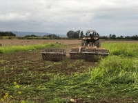 Manejo sustentable de suelos tabacaleros