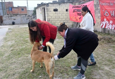 Municipio.Vacunaci&oacute;n antirr&aacute;bica y concientizaci&oacute;n en Alto Comedero