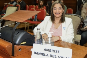 Amerise: &ldquo;Los K y la Izquierda intentaron hacer caer la reforma por intereses pol&iacute;ticos&rdquo;