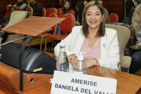 Amerise: &ldquo;Los K y la Izquierda intentaron hacer caer la reforma por intereses pol&iacute;ticos&rdquo;