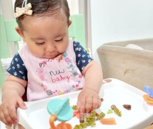 &iquest;Qu&eacute; es la alimentaci&oacute;n complementaria?