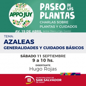 Aprende a cuidar tus plantas...