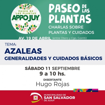 Aprende a cuidar tus plantas...