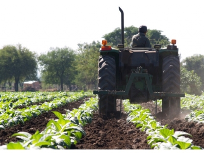 Transfieren m&aacute;s de $2.394 millones del Fondo Especial de Tabaco