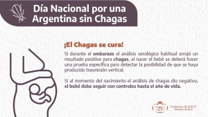 Jujuy busca eliminar la transmisi&oacute;n de chagas por v&iacute;a madre-beb&eacute;