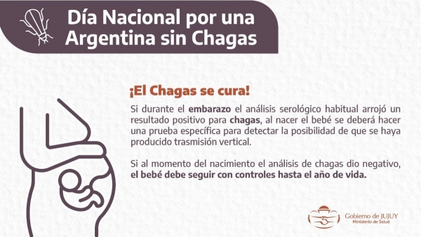 Jujuy busca eliminar la transmisi&oacute;n de chagas por v&iacute;a madre-beb&eacute;