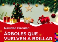 Campa&ntilde;a &ldquo;&Aacute;rboles que vuelven a brillar&rdquo;