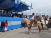 Éxodo Jujeño: Jorge destacó el arraigo de los valores belgranianos