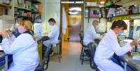 Cient&iacute;ficos argentinos avanzan en una vacuna de segunda generaci&oacute;n contra el coronavirus